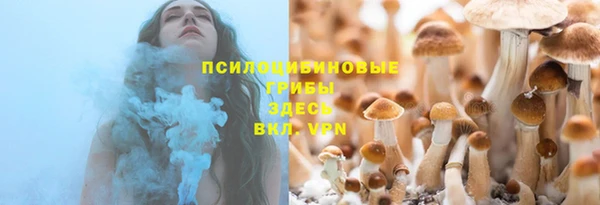ешки Алексин