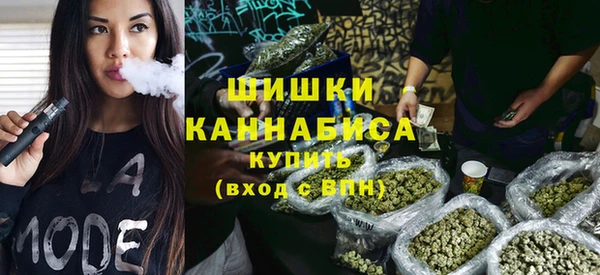 хмурый Алзамай