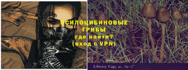 хмурый Алзамай