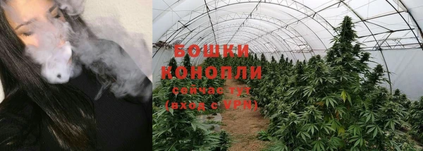 прущие грибы Нягань