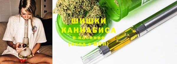 прущие грибы Нягань